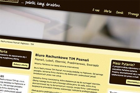 Accountancy TiM Website