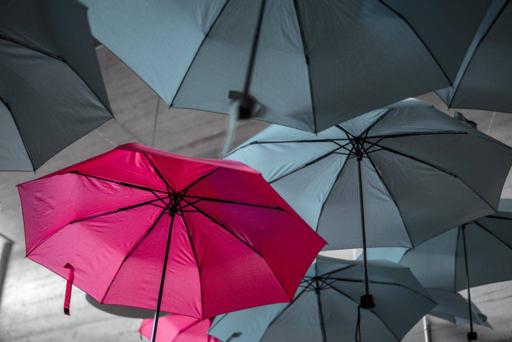 A set of dark umbrellas with a unique pink one.